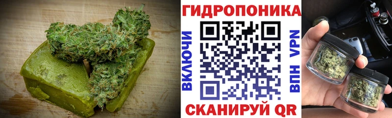 shop клад  МЕГА tor  Нижний Ломов  наркотики  Печенье с ТГК марихуана 