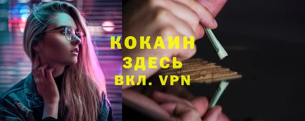тгк Вяземский
