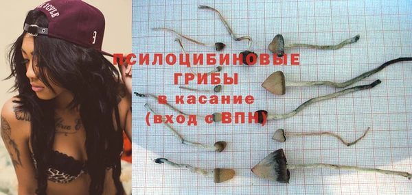 тгк Вяземский