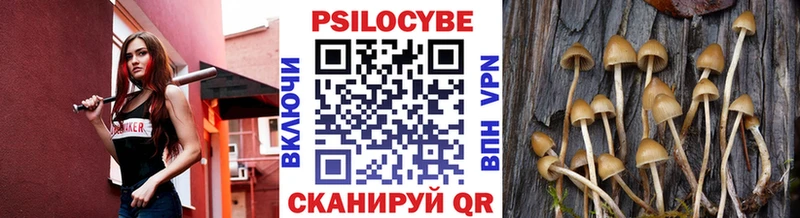Галлюциногенные грибы ЛСД  Нижний Ломов 